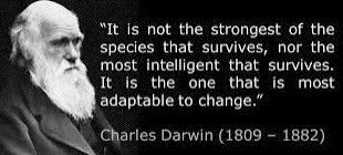 Darwin on
                                                    Adaptation