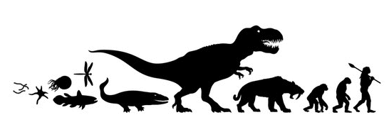 Evolutionary
                                                Biology